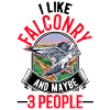 Falcon Falconry Kestrel