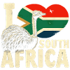 South Africa Bird Ostrich