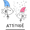 Fish Funny Animals