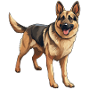 German Shepherd