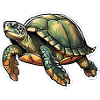 Living Sea Turtle