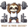 Sloth Gym Funny animals