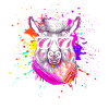 Cool Alpapa