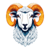 Dall's Sheep
