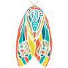 Beautiful Moth