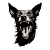 Wütender Schwarzer Hund