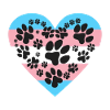 trans puppy pride