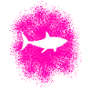 Hai Haifisch im Meer
