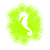 Hippocampe