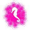 Seepferdchen