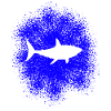 Shark shark in the sea