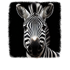 Zebras realistic Zebra