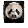 Panda's realistic panda