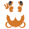 Fox Love Little Red Panda