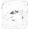 Crabbing Crew 10