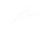 Sailfish Fishing Sailfishes Silhouette