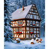 Alsace half-timbered snow house