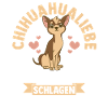 Hund Chihuahua