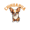 Hund Chihuahua