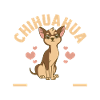 Hund Chihuahua