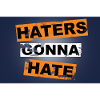 Haters Gonna Hate saying lettering