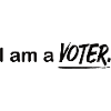 Vote des électeurs