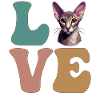 Oriental Shorthair Cat