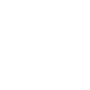 Computerflüsterer