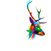 Sorry, I can't