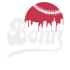 Baseball skyline Bonn