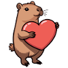 Capybara avec coeur Saint-Valentin