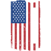 Sport Us Flag Windsurfing