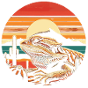 Bearded dragon Bearded dragon