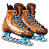 Ice Hockey Ice Skates