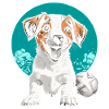 Jack Russell