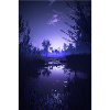 Reflektierender versteckter See im Wald