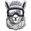 Lama Wintersport