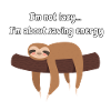 Bradypus