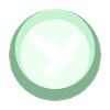 Animaux, Ailes, Volée D’oiseaux