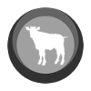 Lait de vache