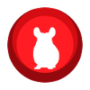 Chinchilla Mouse Mouse