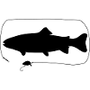 Trout with wobbler
