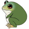 Chunky Frog