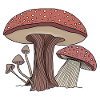Champignons