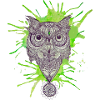 Mandala Owl - Splash
