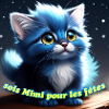 Sois Mimi pour les fêtes