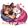 Sleeping Shepherds - Never Sleep Alone