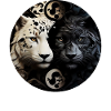 Yin Yang Wild Cats
