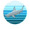 Mystical Sea Dweller Hammerhead Shark