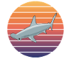 Hammerhead Shark Silhouette Sunset